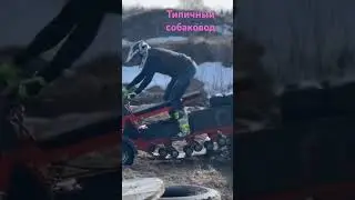 Мотособака #эндуро #automobile #питбайк