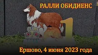 Ралли-обидиенс. Ершово, 4 июня