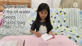 Germination of Seeds-KID EXPERIMENT