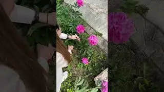 УРА! Я дождалась! Настало время, когда за всем необходимым можно сходить в сад, а не в магазин!