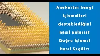 Anakartın hangi işlemcileri desteklediğini nasıl anlarız? Doğru İşlemci Nasıl Seçilir?