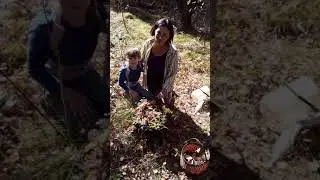 Для видеорамки
