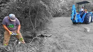 Pulling Stumps with the Brush Grubber - Does It Really Work?
