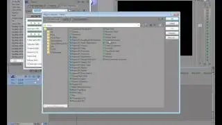 How to create Echo in Sony vegas pro