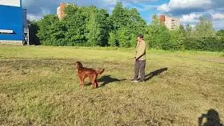 Обычная корректировка. для профилактики.