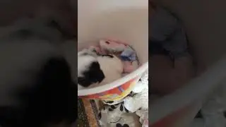 Наша милашка♥️😘🥰
