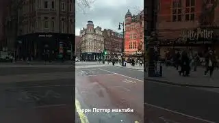 8 февраля 2024 г.