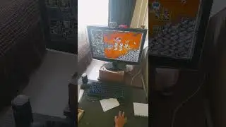 отстрел пионов