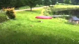 Mr. Duck is a father