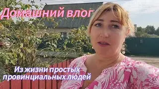 Мой день/ Мама приколистка/Удобно ли работать плоскорезом/ Едем к внучке/ Почему огурцы не хрустят