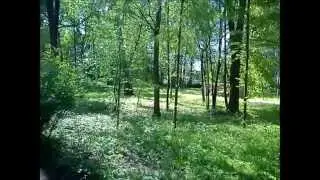 Plener malarski Orońsko