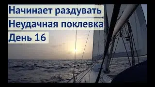 Ветер от слабого до сильного  неудачные поклевки | Трансатлантика, день 16