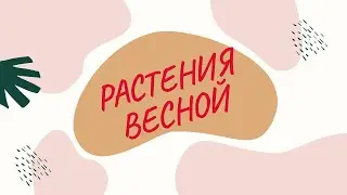 Растения весной.Развивающее видео для детей.