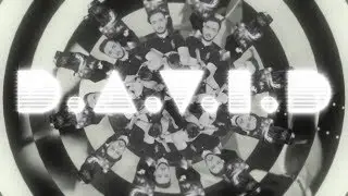 D.A.V.I.D.
