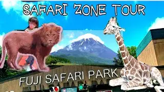 Fuji Safari Park - Encounter Animals Up Close At Mt. Fuji's Base (we explore by our own car)