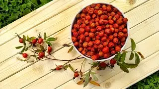 How to dry rose hips at home for the winter