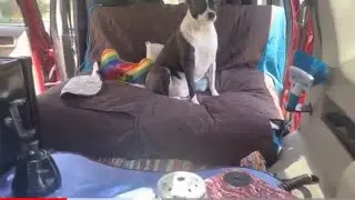 Camping in my car 🤯😍🐶🚗🏕