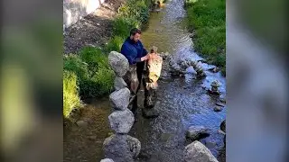 Мастер баланса / balance master