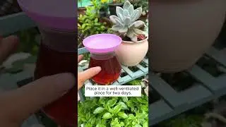 Irrigation water fights fungus and increases growth  #garden #agriculture #plants
