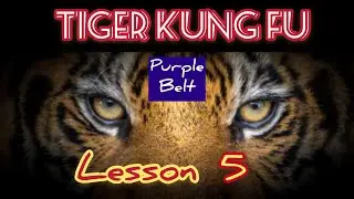 learning kung fu at small space / tiger kung fu lesson 5 / 虎拳第五课