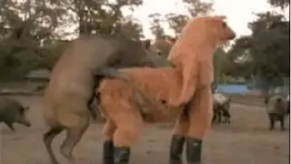 Funny Gif #2