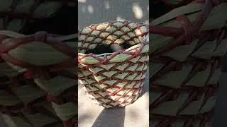 Моё новое кашпо 😍