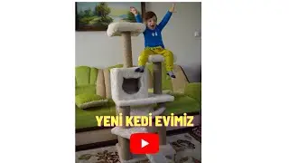 KEDİ VİDEOLARI ! / KEDİM İÇİN EV ALDIM / KEDİ EVİ MONTAJ / NASIL YAPILIR / HOW TO MAKE