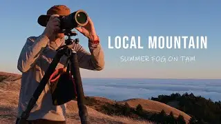 Local Mountain - Landscape Photography on Mount Tamalpais
