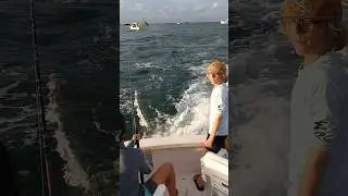 Tarpon Jumping behind the boat #tarpon #fishing #bocagrande