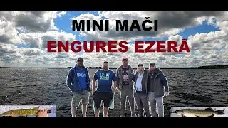 Mini mači Engures ezerā