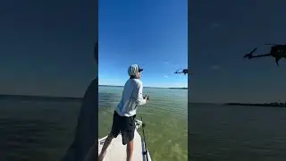 Drones are scary 