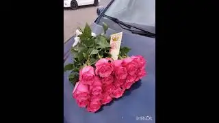 Елена Цехмейстер. Романтика