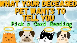 What your deceased pet wants to tell you | PICK A CARD READING