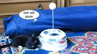 Tammy und der freche Ball