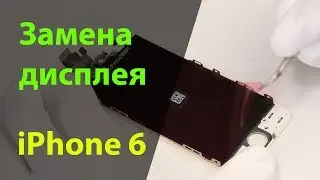 Замена дисплея на iPhone 6