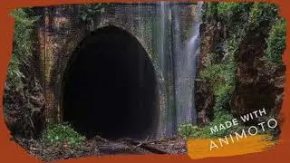 Abandoned Beauties Video