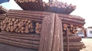 Хоразм Ургенч Тохта Огоч Нархлари