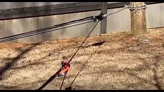 #1 Pulling Stumps With Snatch Blocks Pulleys and 30:1 Mechanical Advantage.