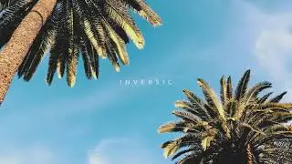 Mero - Blue