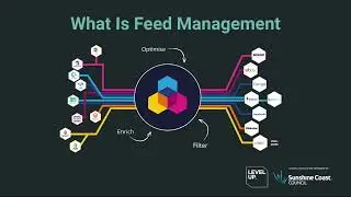 Data Feed Management - Level Up Your Business