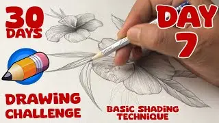Drawing Lesson - Day 7 - Shading | Improve Your Drawing in 30 Days |  Basic Shading Technique
