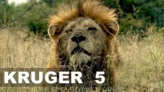 KRUGERS Timeless Gems: SKUKUZA - A Decade Compilation