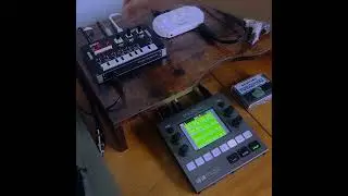 CRUSHED House Jam | Korg NTS-1, 1010Music Blackbox #shorts
