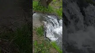Журкин ключ. с. Соловьиха, Петропавловский район, Алтайский край #алтай #петропавловское #соловьиха