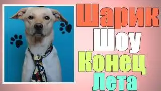 Шарик Шоу - Конец Лета (выпуск 17)