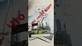 #феникстаро