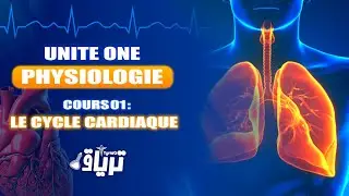 #Physiologie-Cardiaque - 2ème année : CYCLE CARDIAQUE