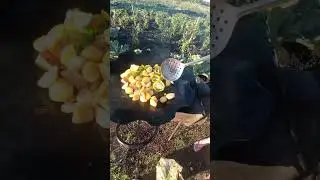жарим картошечку на чермеде👍😄
