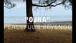 Ojna - Peaceful's Revenge (Lyric Video)