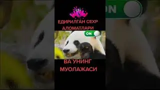 ЕДИРИЛГАН СЕХР АЛОМАТЛАРИ